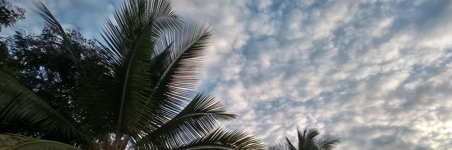 just_divya_'s profile banner image