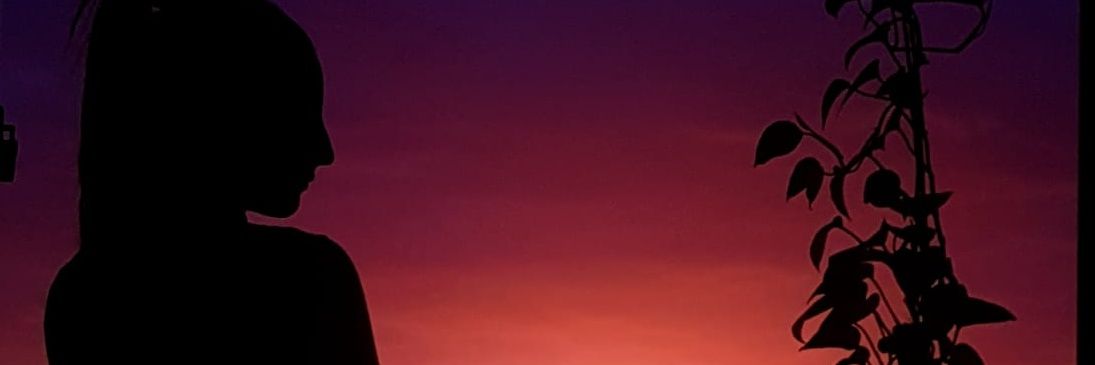 _MELiYS's profile banner image