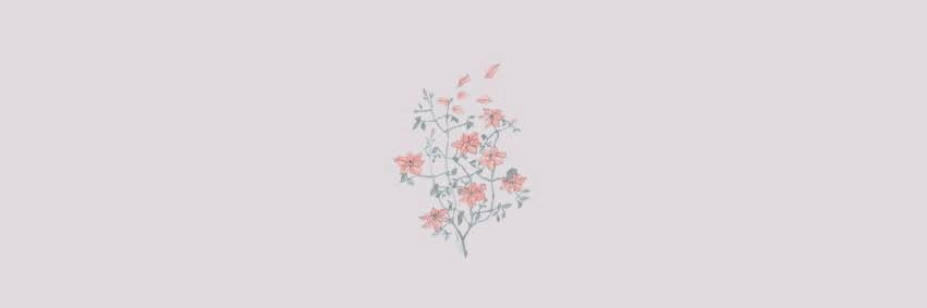 springbnn's profile banner image