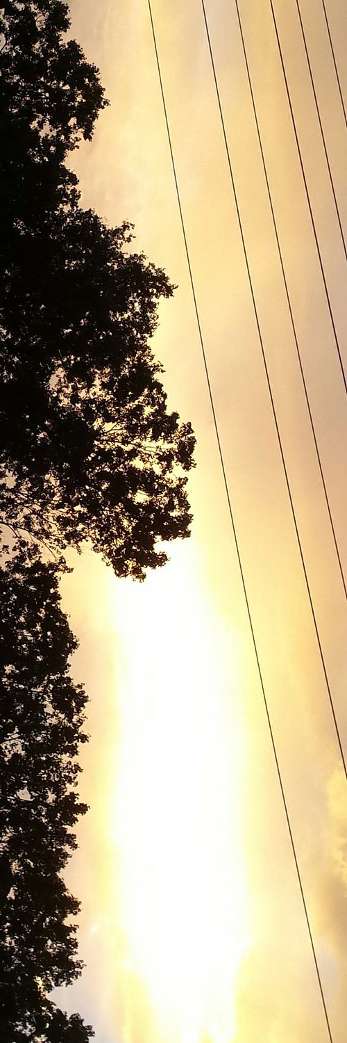 Antonio Torres banner