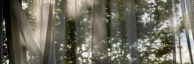 َ banner