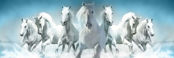 pc_piparcity Profile Banner