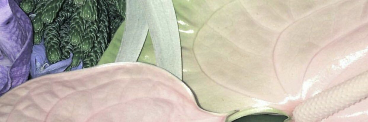 𝔩𝔲𝔵 𝔫𝔬𝔠𝔱𝔦𝔰⛓🕸️ banner