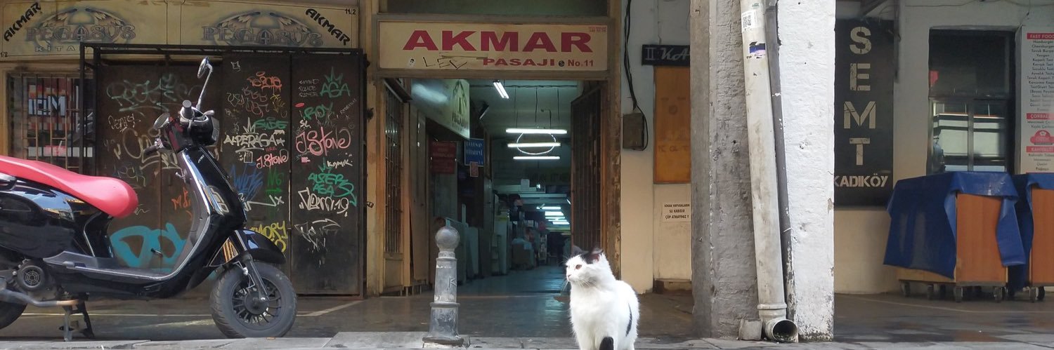 ᴀʀᴛʜᴜʀ ᴍᴄɢᴏᴡᴀɴ banner