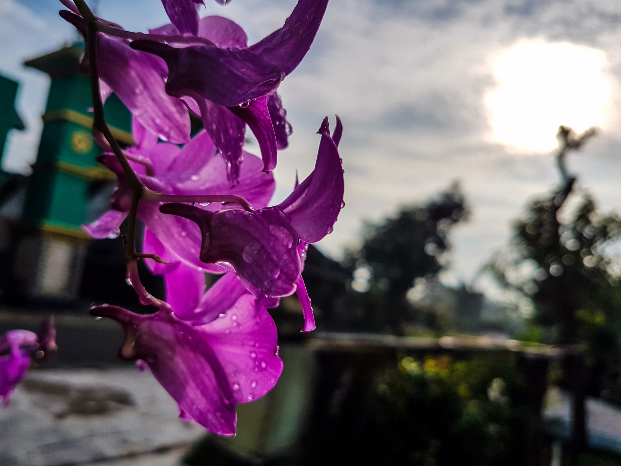 Davrenzu's profile banner image