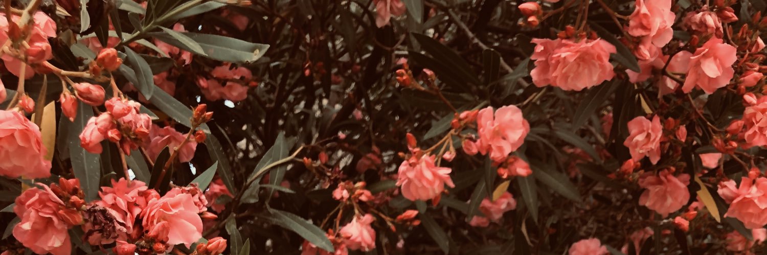 Joyy____'s profile banner image