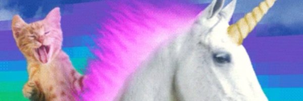 scrufynerfhodlr Profile Banner