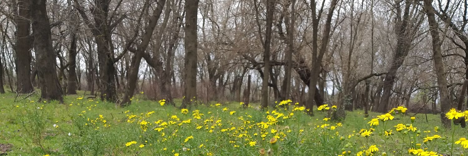 NoeIGaleano's profile banner image