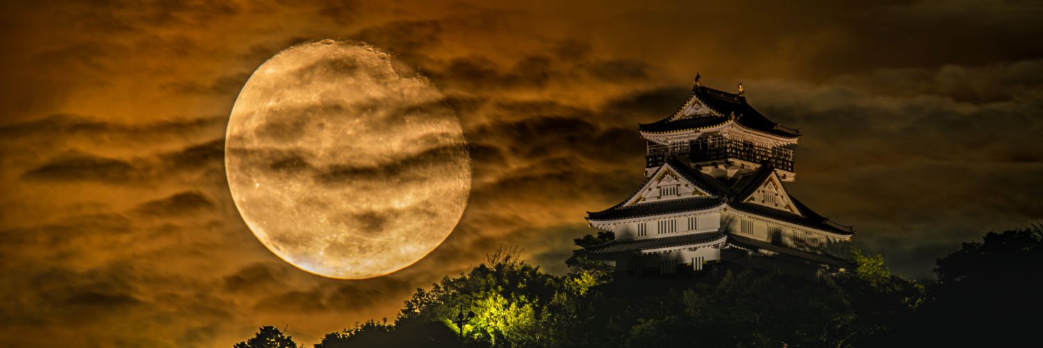 sugi_tw's profile banner image