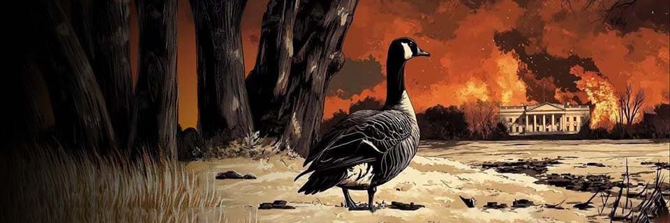 Creatrix: a proud Canadian 🇨🇦 💙 banner