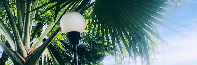 𝙰𝚗𝚐𝚎𝚕𝚒𝚝𝚊 𝙹𝚘𝚎𝚕𝚒𝚍 💙's banner