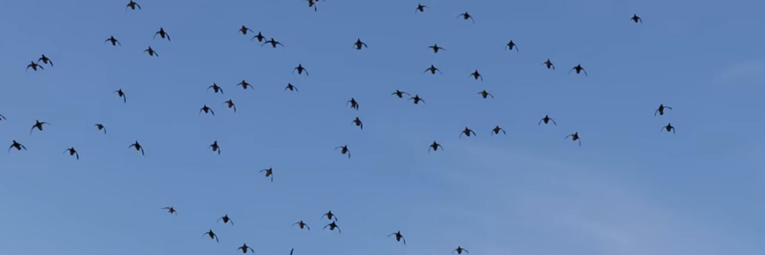 MattMmanning5's profile banner image