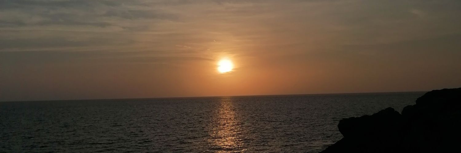 RocioD24's profile banner image