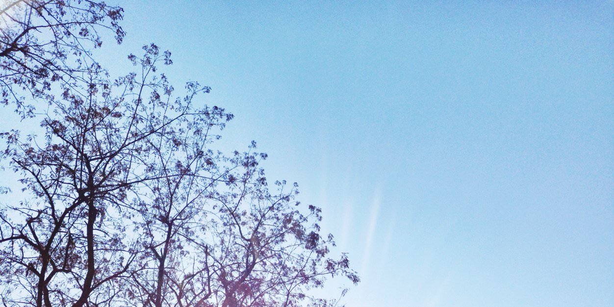 dreamerg1's profile banner image