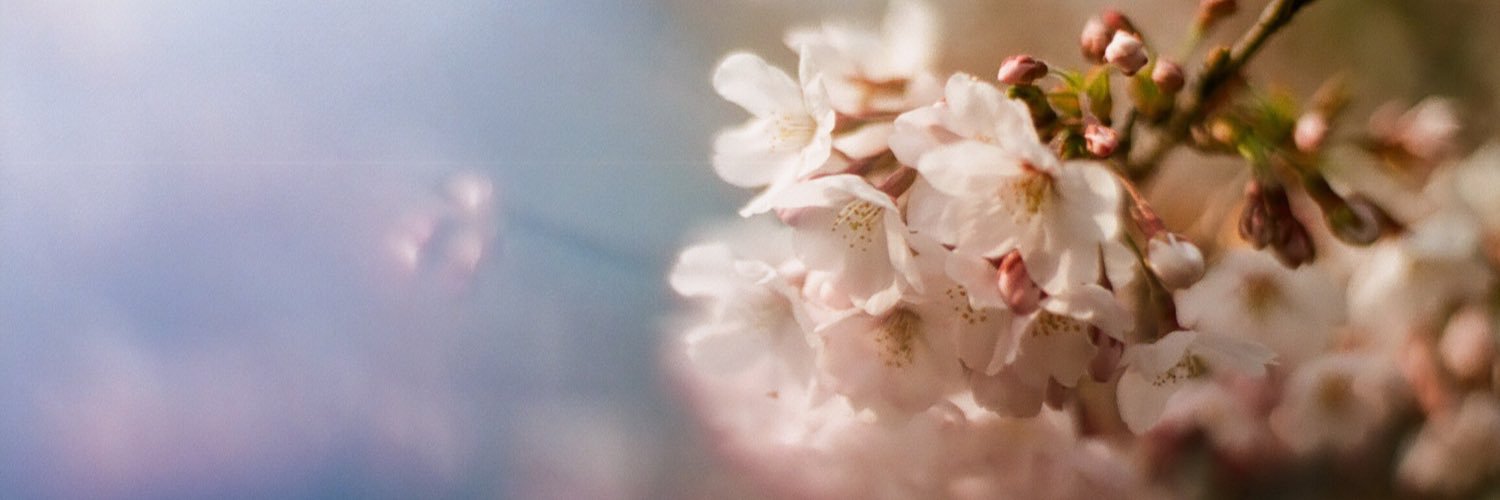 a__s__m__18's profile banner image