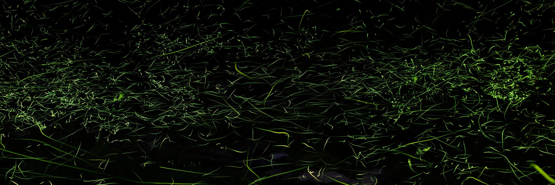 kirito9610's profile banner image