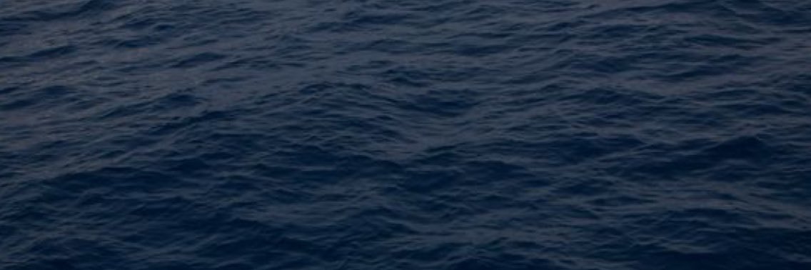 HEAVYWASH's banner