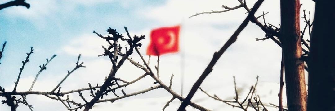_magdurbitli's profile banner image