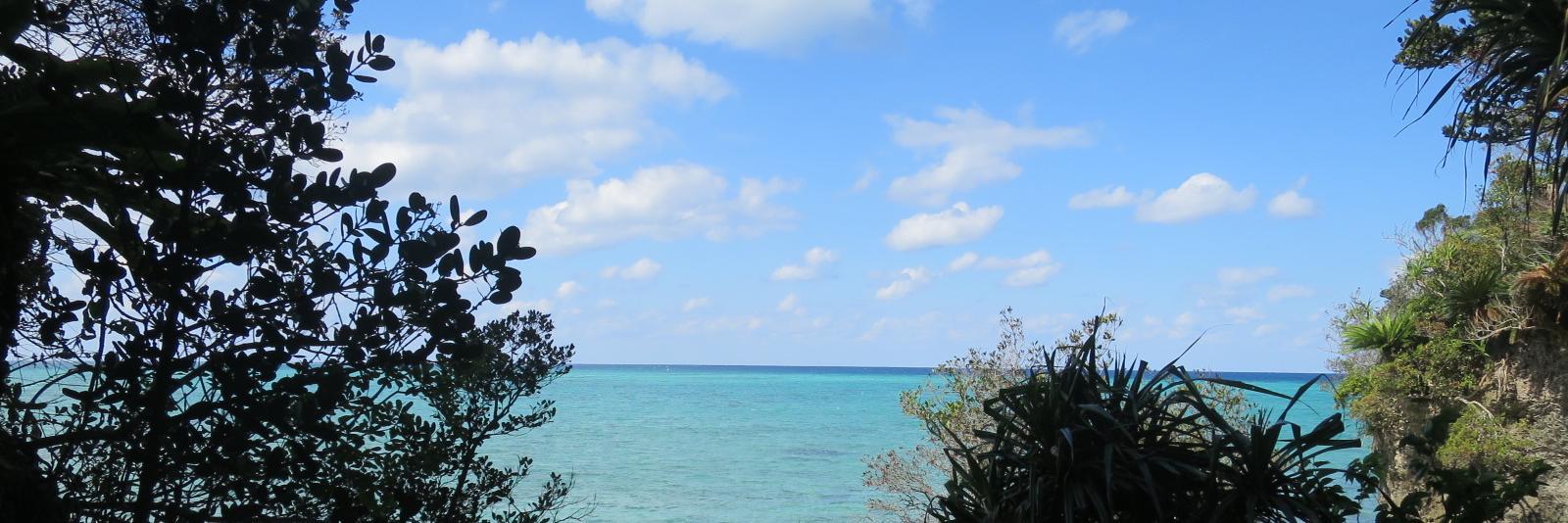 bisuno's profile banner image