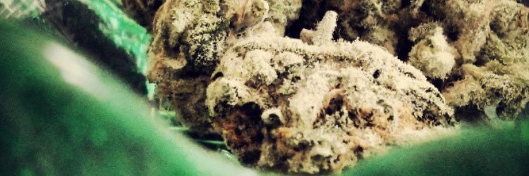 Always Faded 🔥 banner