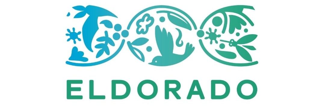 Eldorado_Intl's profile banner image