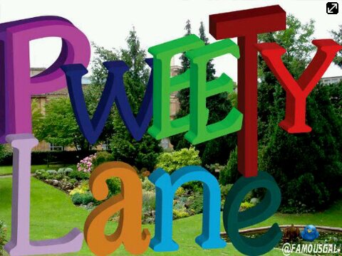 pweetylane's profile banner image