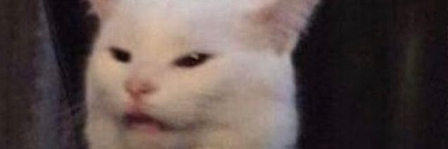 corn salad🌽 banner