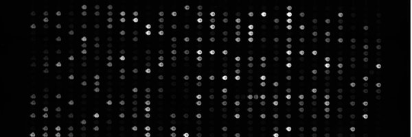 MargauxPinney Profile Banner