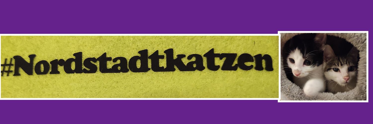 Rockkitties banner