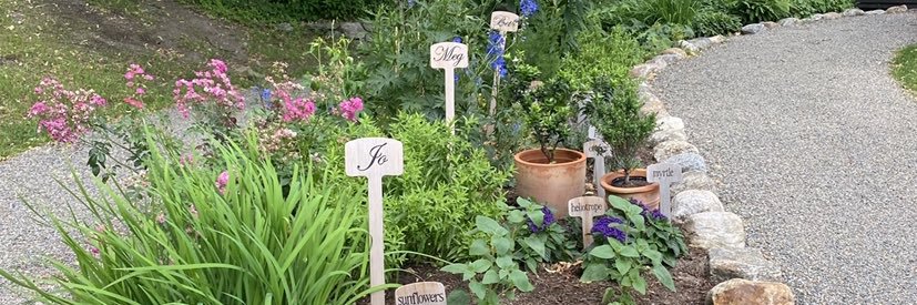 Debby Briscoe banner