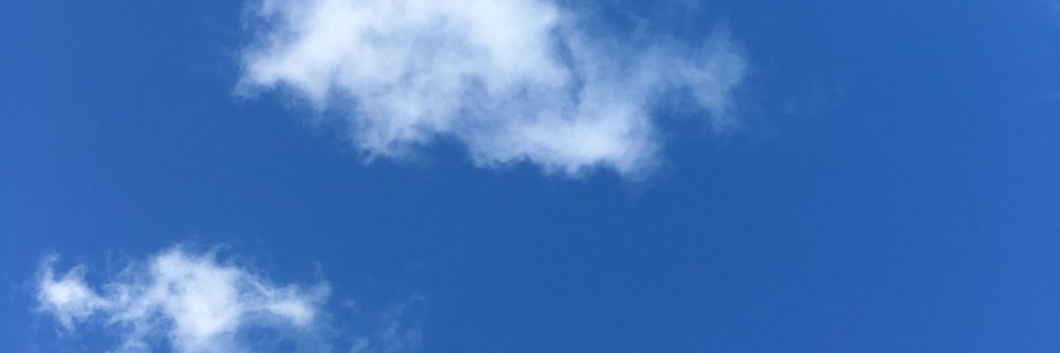 MissAllenEnglis's profile banner image
