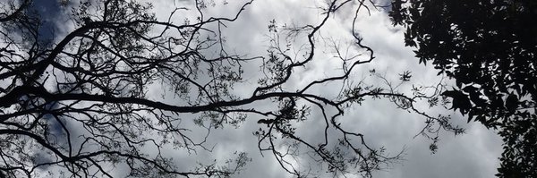 teegstar Profile Banner