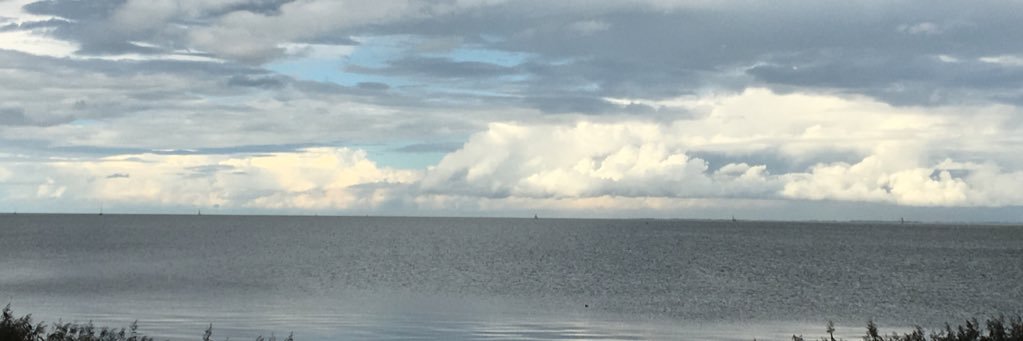 PienHarms's profile banner image