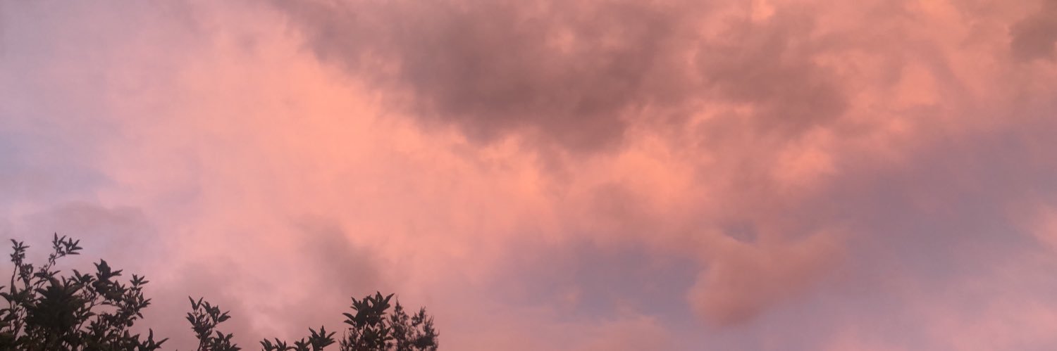 mrpolly77's profile banner image