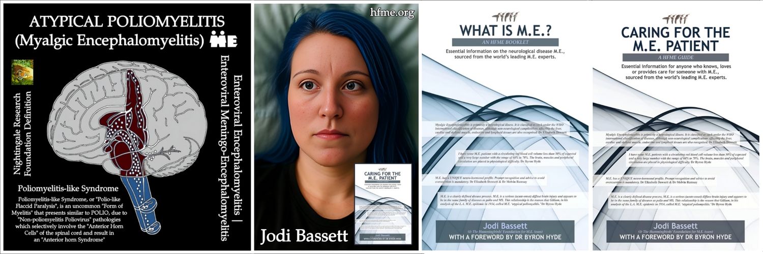 Larrin Carney ☦️ Free Speech 📢 M.E. Advocate 🦼 banner