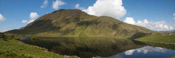 Roy_Allen Profile Banner