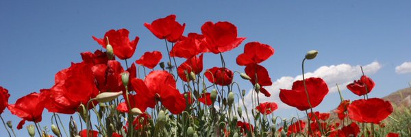 jadidoleslam Profile Banner