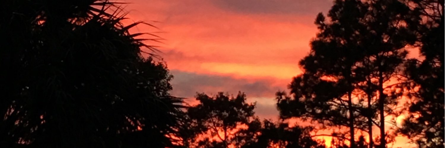 CASacchetti's profile banner image