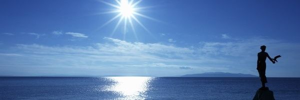 Harlequin Heretic banner