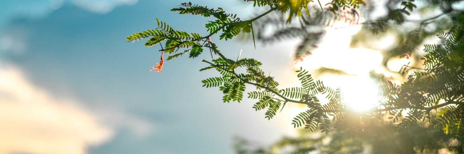pablopratesbsb's profile banner image