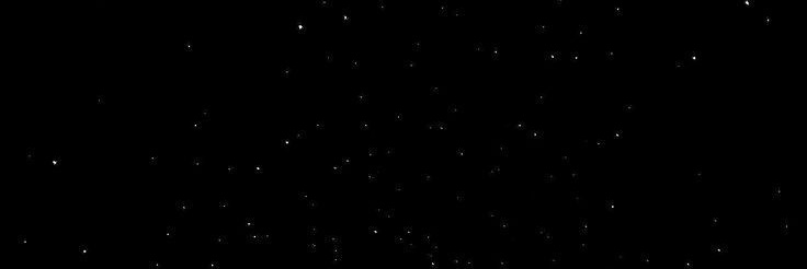 priscila__consc's profile banner image