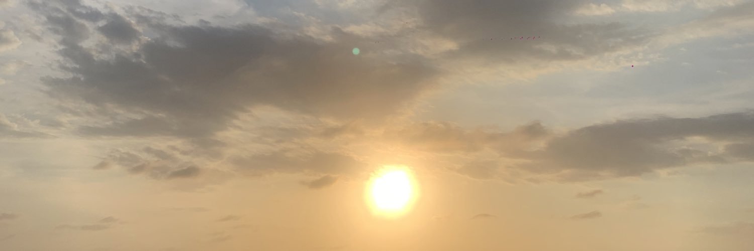 LauraVasqu's profile banner image
