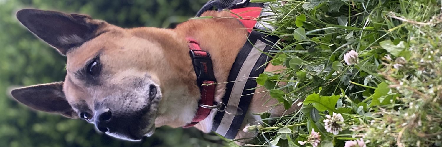 siicky_'s profile banner image
