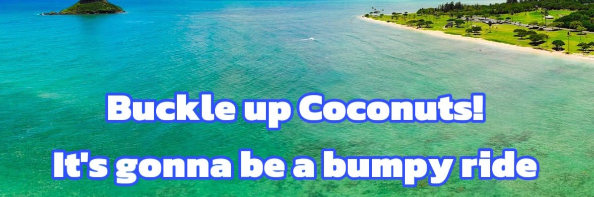Audit Hawaii's banner