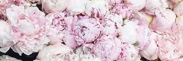 Katie_STUDley's profile banner image