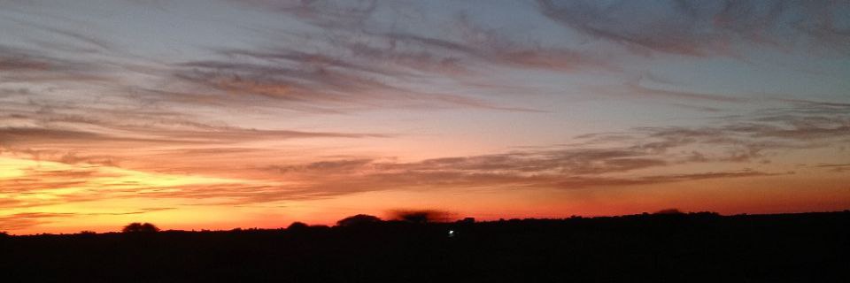 dinosoaa's profile banner image