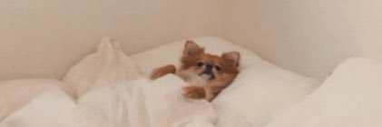 emmrrly's profile banner image
