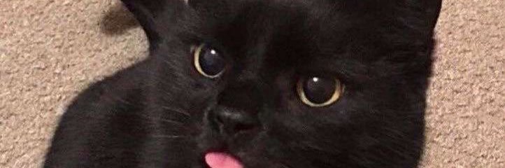 𝓨ᴜᴀɴ / 𝕯ᴇᴀɴ🪽🌻 spn s15 , 11 Days banner