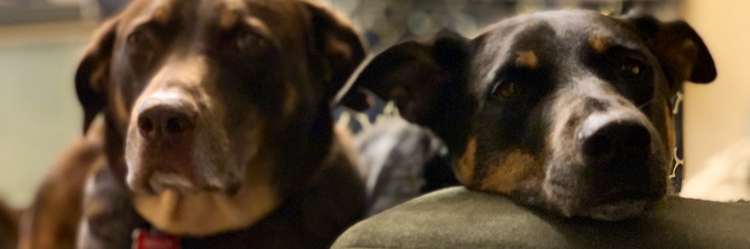 jimcvit's profile banner image