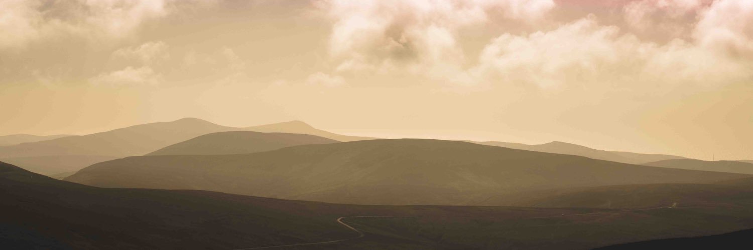finprocter's profile banner image
